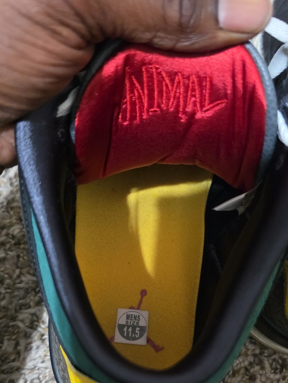 Jordan 3 Animal Instinct